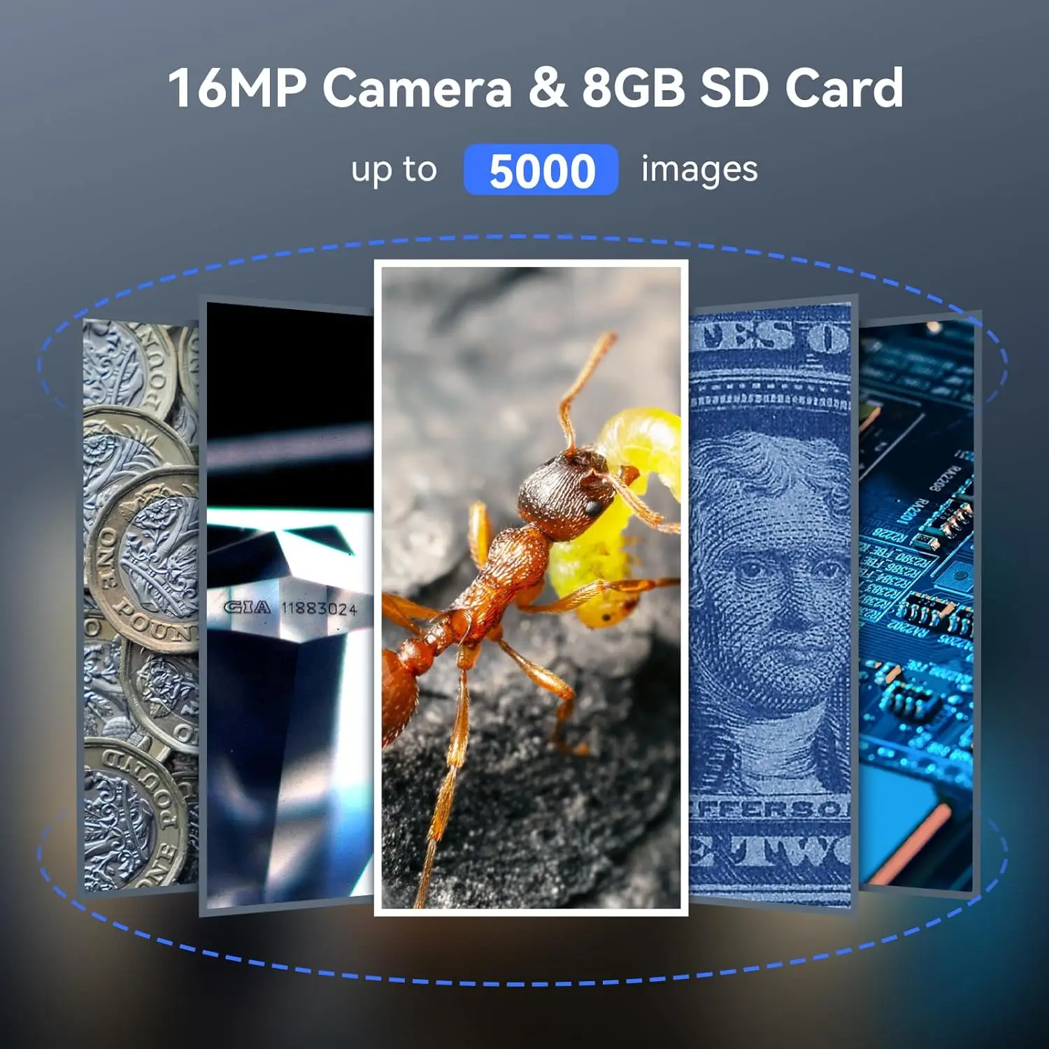 TOMLOV P10 Çocuk Mikroskobu Di - Digital Magnifier Reading incelemesi ve fiyatı